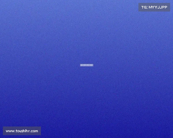 高校排球赛事有哪些